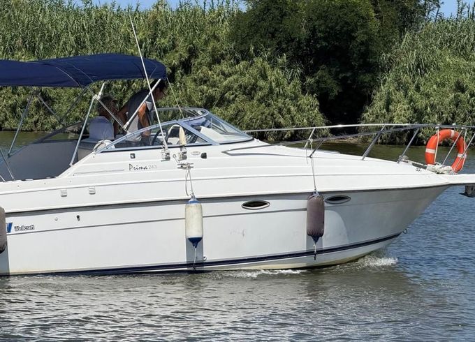Wellcraft 243 Prima