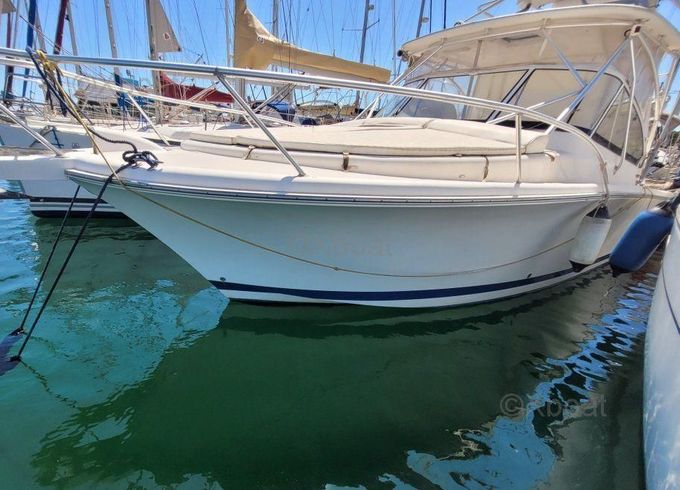 Luhrs 28