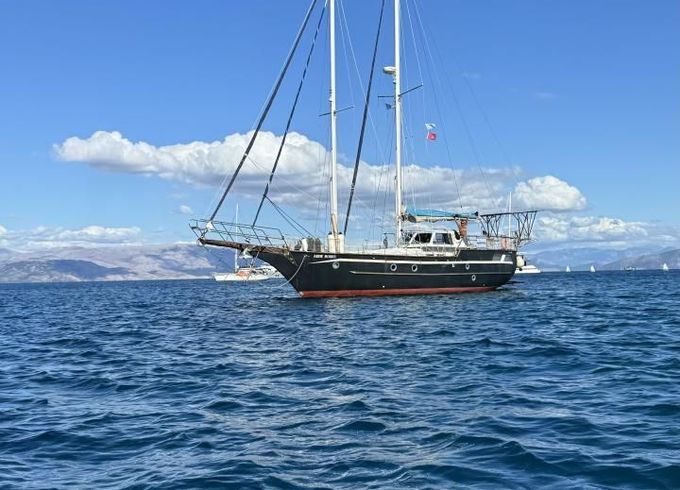 Pirat 53