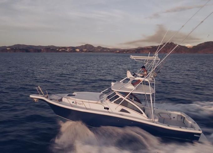 Apex Yachts Quepos 350
