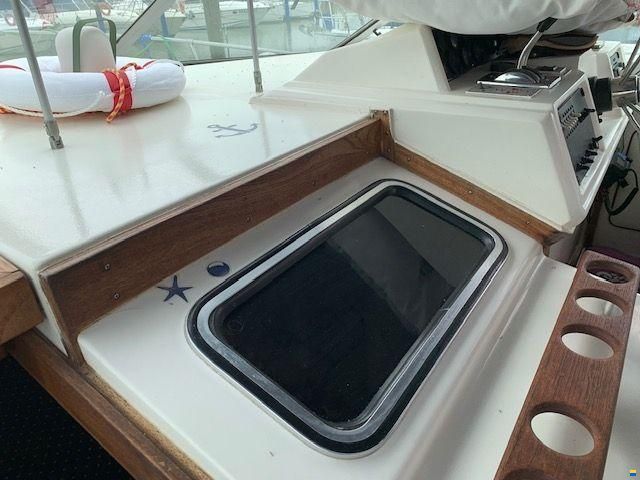 Sea Ray 34