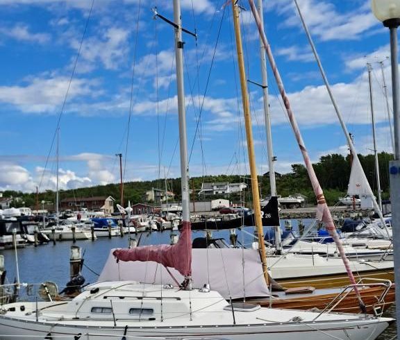Albin Accent 26