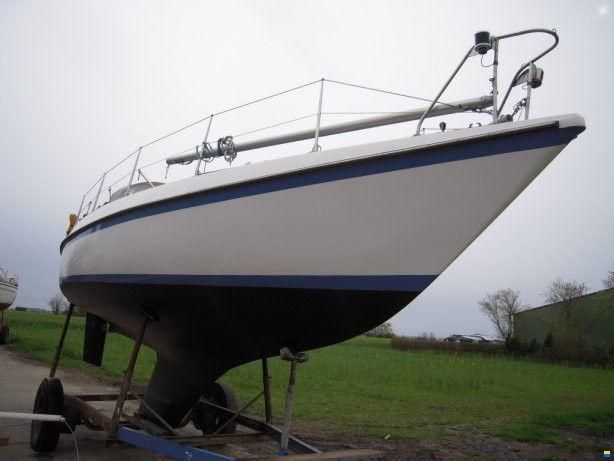 Neptun 31