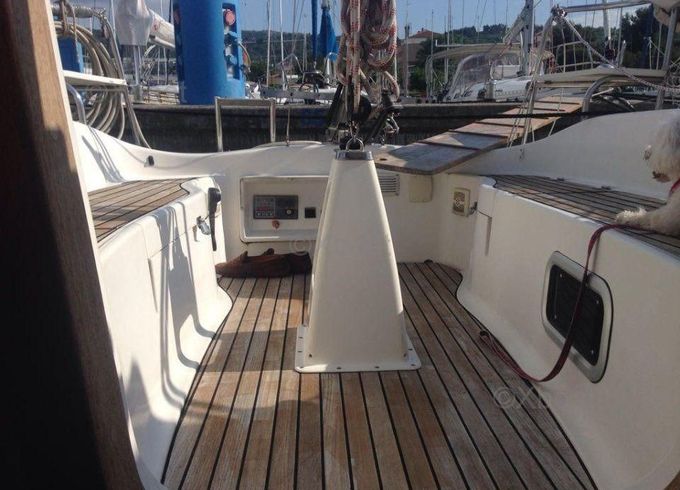 Delphia 29