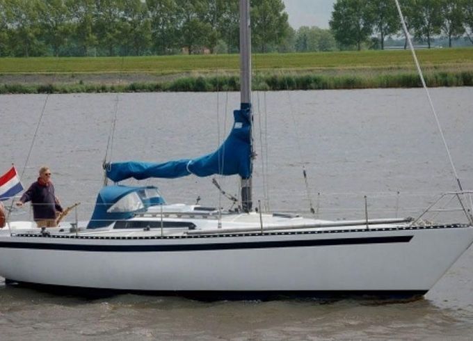 Kalik 33