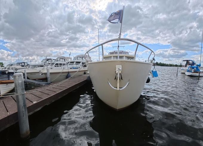 Linskens Catfish 46