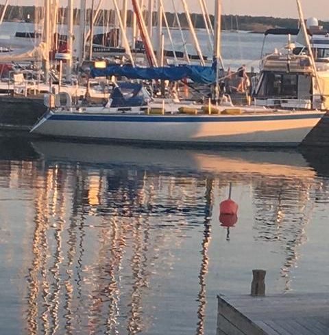 Wauquiez Centurion 38
