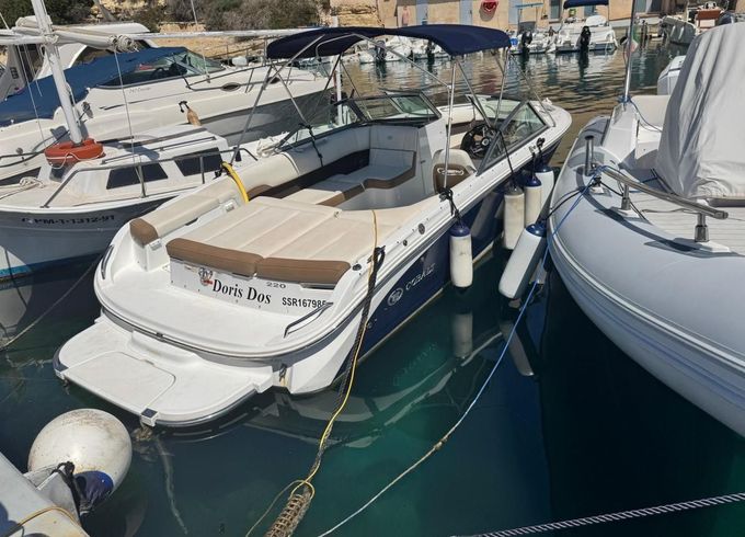 Cobalt 220