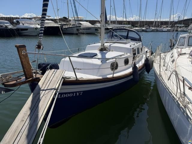 Delfín 28
