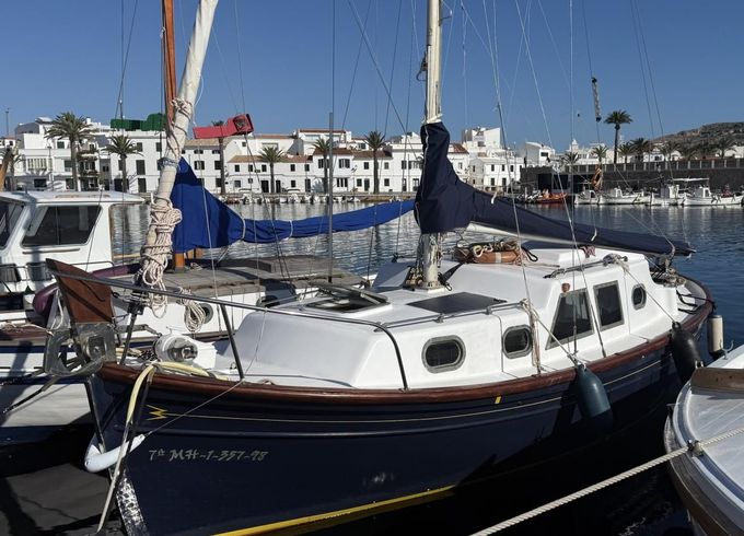 Myabca Delfín 28