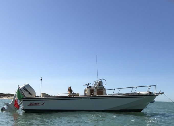 Boston Whaler Outrage 22