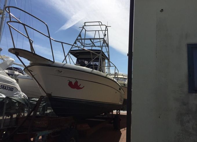 Robalo 26 Cavin Walkaround