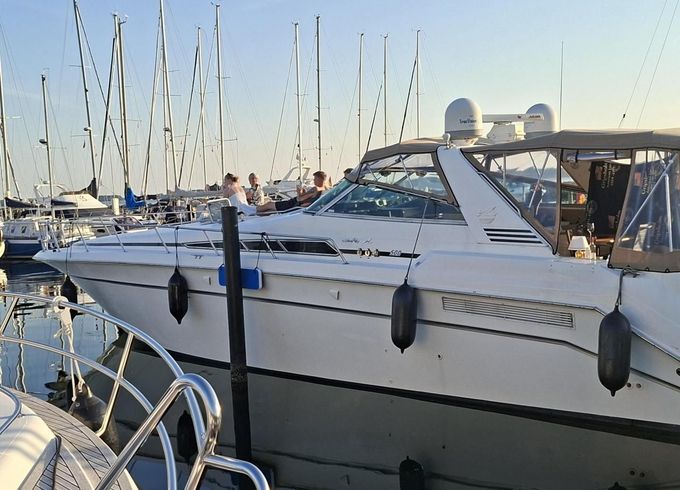 Sea Ray 500