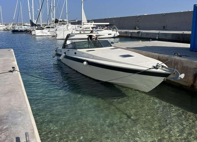Cigala & Bertinetti Shark 43