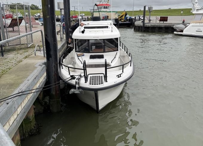 Sargo 31 Offshore