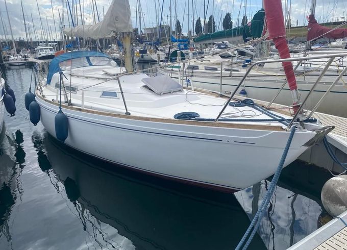 Camper & Nicholsons 31