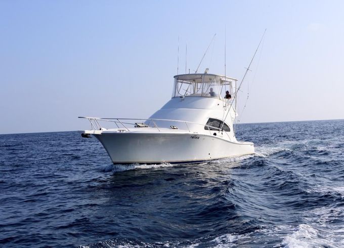 Luhrs 41 Convertible