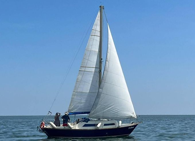 Hurley 27