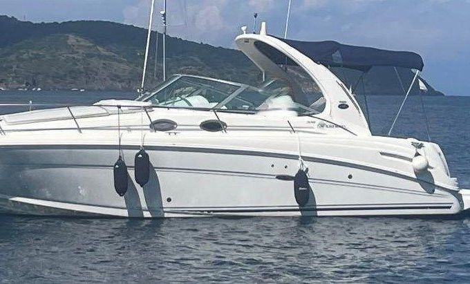 Sea Ray 335 DA