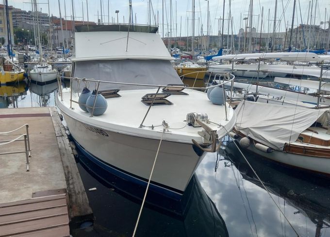 Trojan Yacht TROJAN 36 FLY