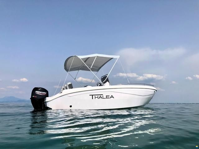 Thalea 19,5