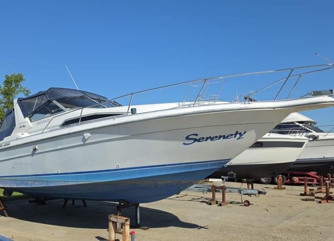 SEARAY SeaRay 310