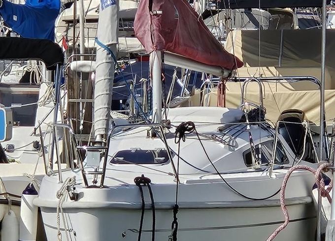 Delphia 24