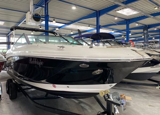 SEARAY SeaRay 250 SDX