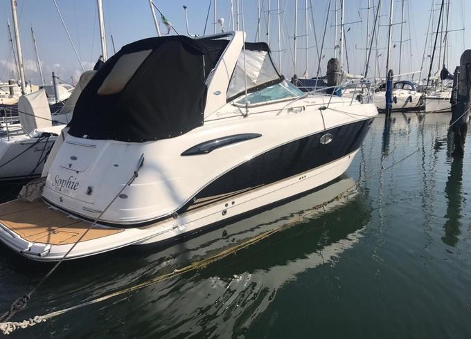 Chaparral SIGNATURE 290