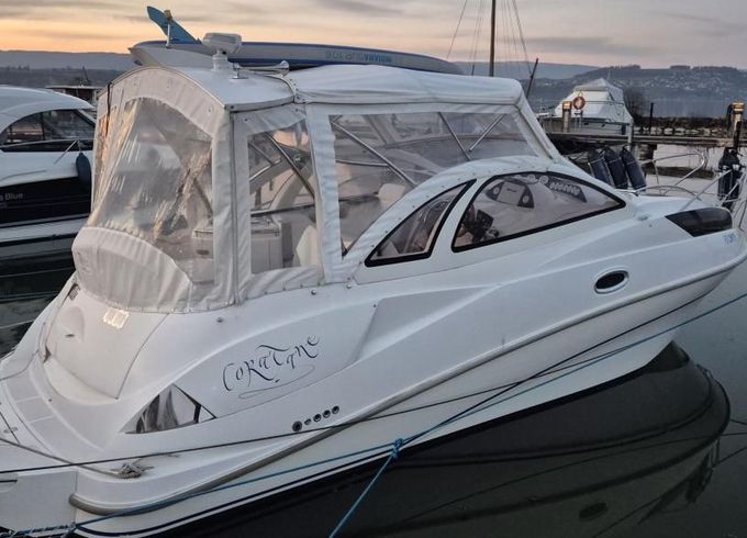 Quicksilver 890