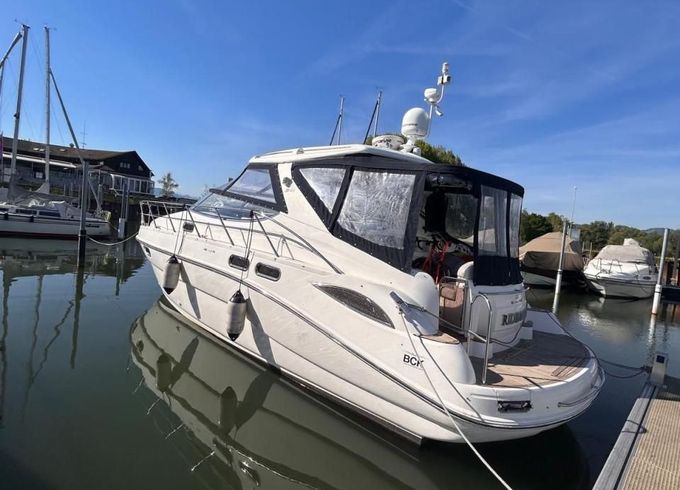 Sealine S 41