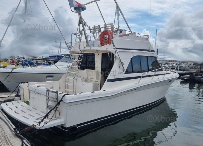Riviera 33 FLYBRIDGE