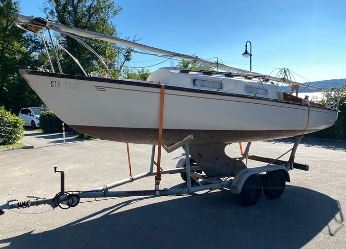 Shark24