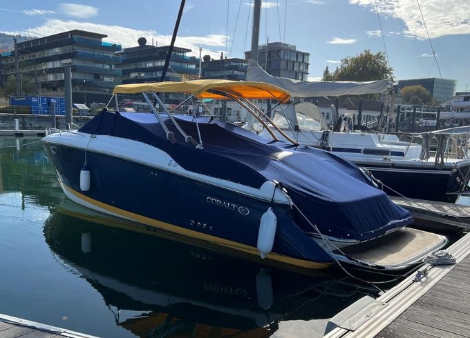 Cobalt 323