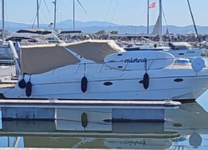 Rio 35 CRUISER