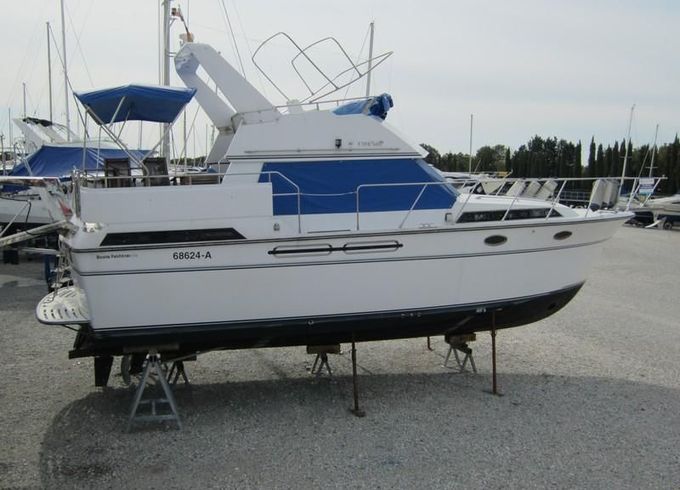 Edership 37