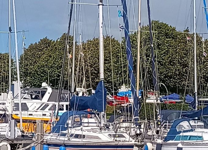 Westerly Typhoon 37