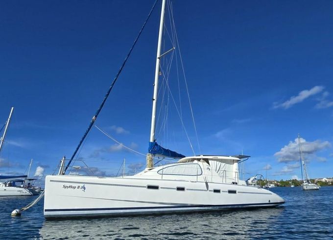 Leopard 43