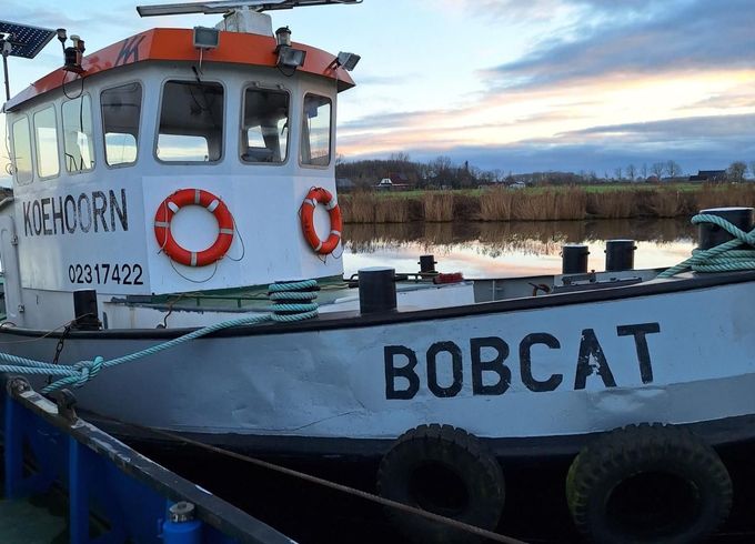 BobCat 1680