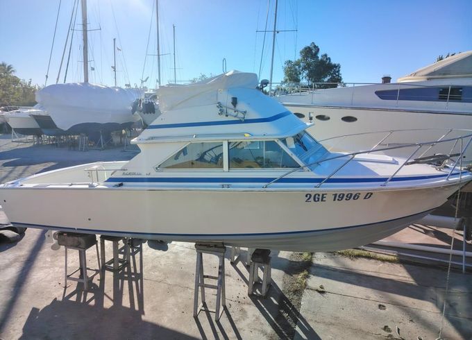 Bertram Yacht 28