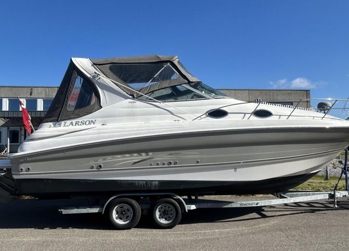 Larson 290 Cruiser