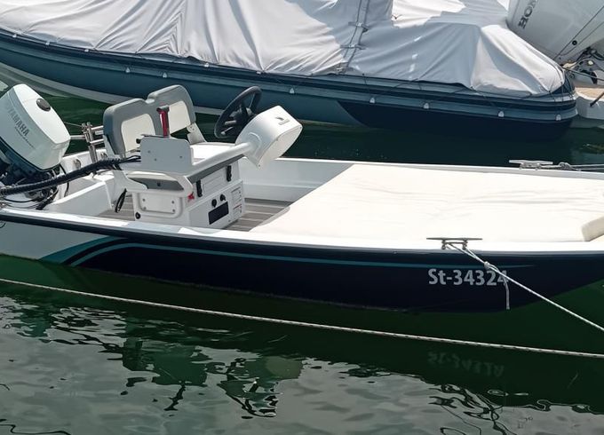 Boston Whaler 15