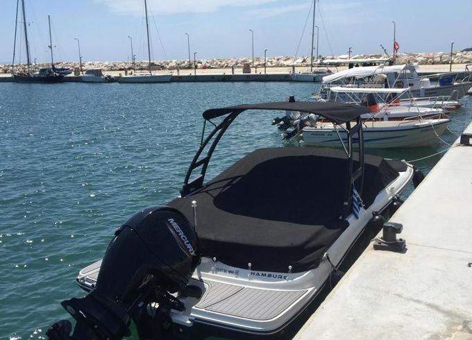 Sea Ray SPX 190 OB