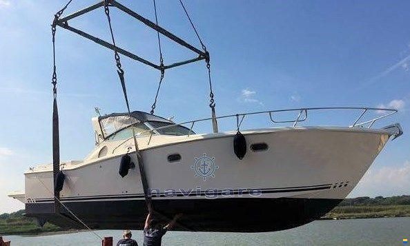 Gagliotta GAGLIARDO 37