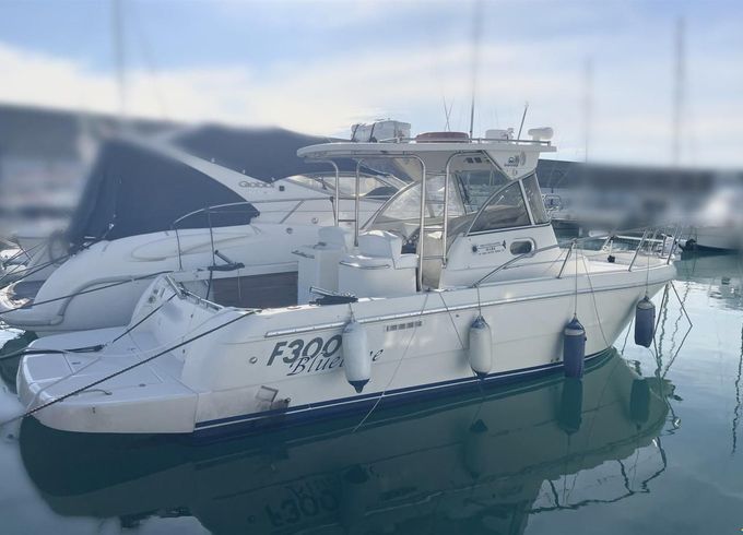 Zeta Group F300 bluetime