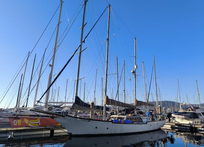 Samson C Baron 55