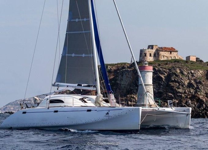 Latini Cat 43