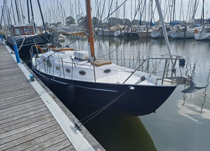 Moerman 29