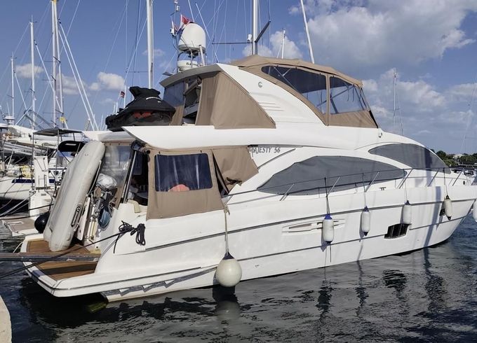 Majesty 56