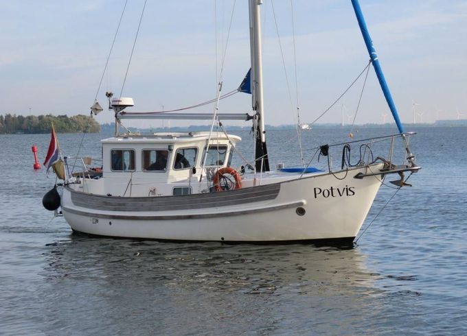 Fisher 31